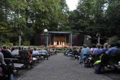 Musical Show 2011 Waldbühne