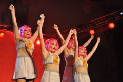 Musical Show 2011