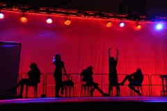 Musical Show 2011