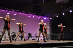 Musical Show 2011