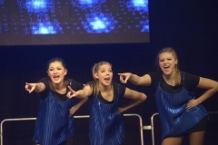 The Show 2013